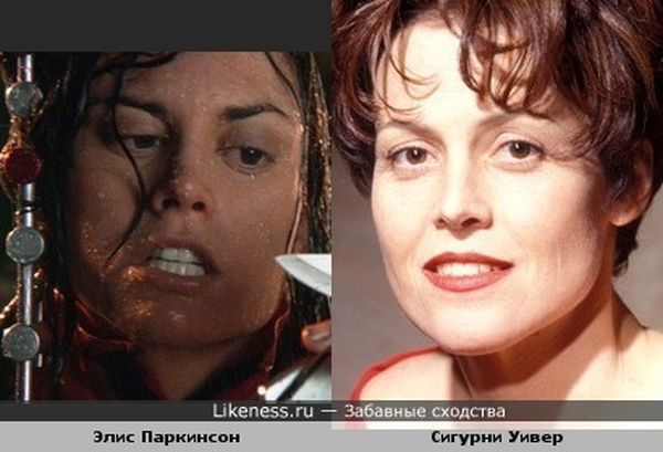 сходства, люди