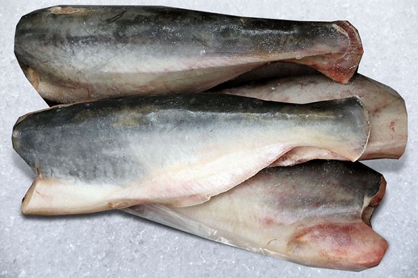 пангасиус опасен для здоровья