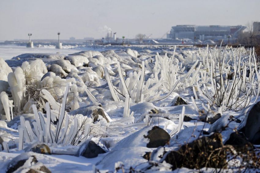 интересное, фотографии, США, заморозки