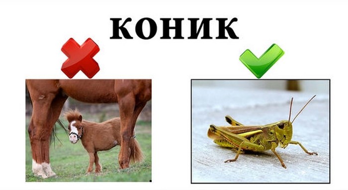 Учим украинский (6 фото)