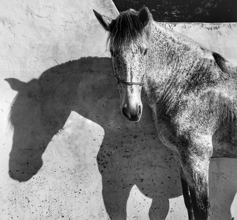 Революция, которую мы не заметили айфоны, искусство, прогресс, фотография, фотографы