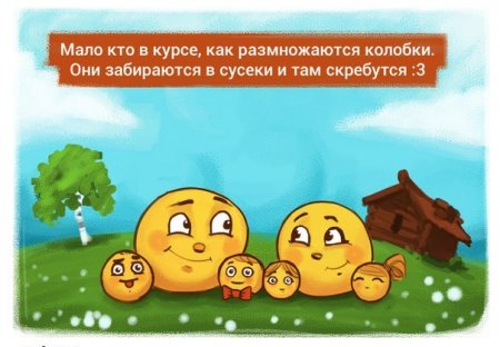 Прикольные откровения в картинках.