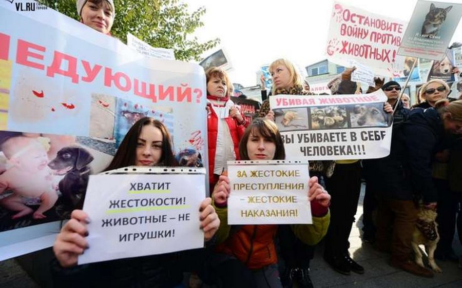 Хабаровские живодёрки жалуются на тяжкие условия содержания в СИЗО Хабаровские живодёрки жалуются на тяжкие условия содержания в СИЗО