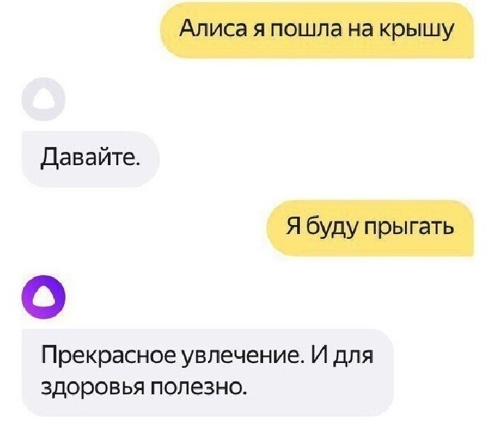 С Алисой шутки плохи Переписка с элементом внезапности
(16 фото)