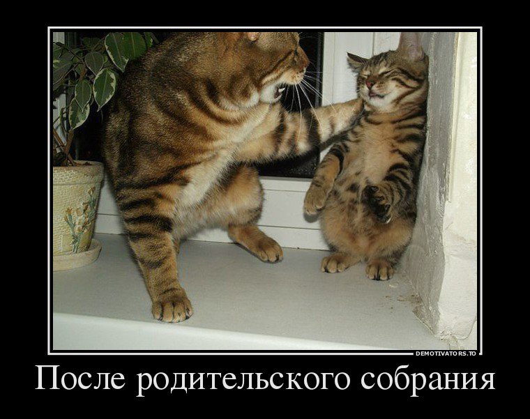 Прикольные демотиваторы для поднятия настроения (10 фото) Прикольные демотиваторы для поднятия настроения (10 фото)