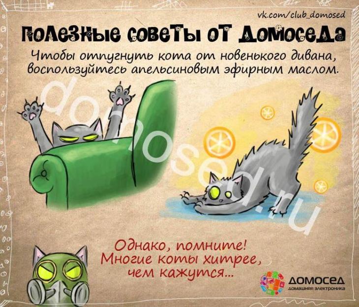 25 советов на все случаи жизни, которые пригодятся каждому полезные советы от домоседа, полезные советы, советы на все случаи жизни