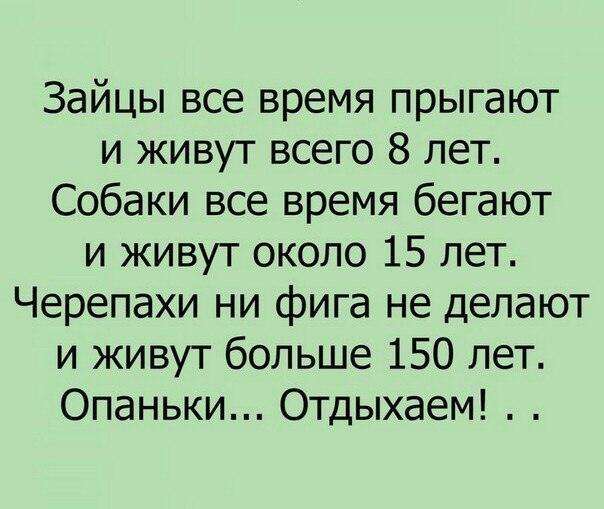 Анекдоты для души! Дорогой, у тебя серьёзная проблема! — Я въехала в «Майбах» Анекдоты для души! Дорогой, у тебя серьёзная проблема! — Я въехала в «Майбах»
