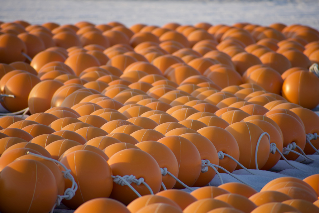 DSC_5424.png DSC_5424.png