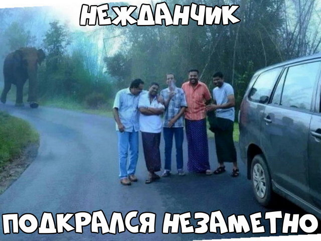 Автовсячина Автовсячина Автовсячина, авто, автомобиль, автоприкол, машина, прикол