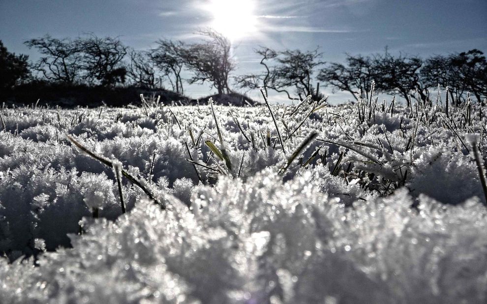Самые красивые фотографии морозной зимы frozen03 Самые красивые фотографии морозной зимы