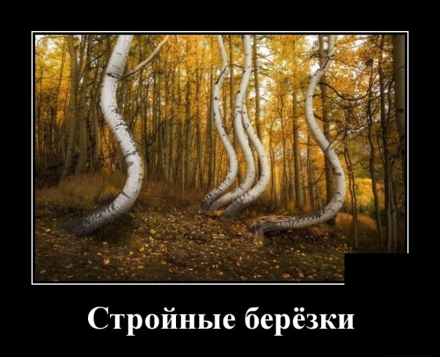 Демотиваторы Демотиваторы