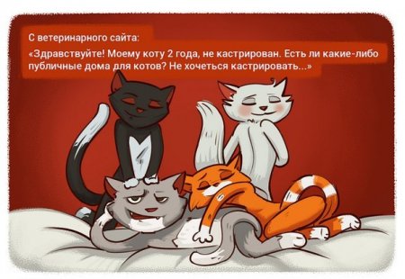 Прикольные откровения в картинках.