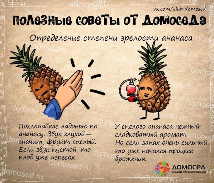 25 советов на все случаи жизни, которые пригодятся каждому полезные советы от домоседа, полезные советы, советы на все случаи жизни