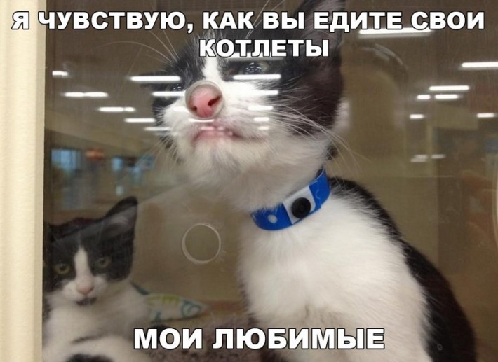 УЛЫБНИСЬ-КА :) УЛЫБНИСЬ-КА :)