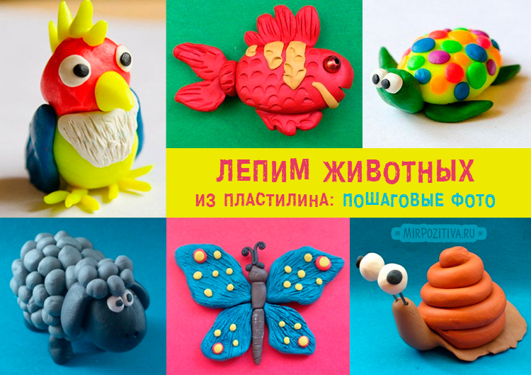 Как сделать пластилином животных