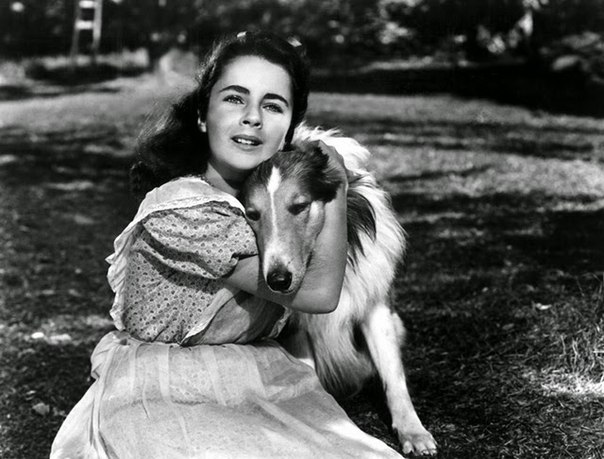   40- 