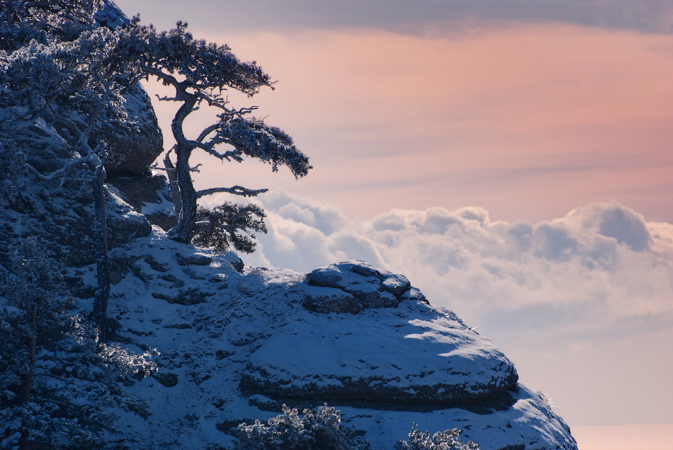 Crimea at winter