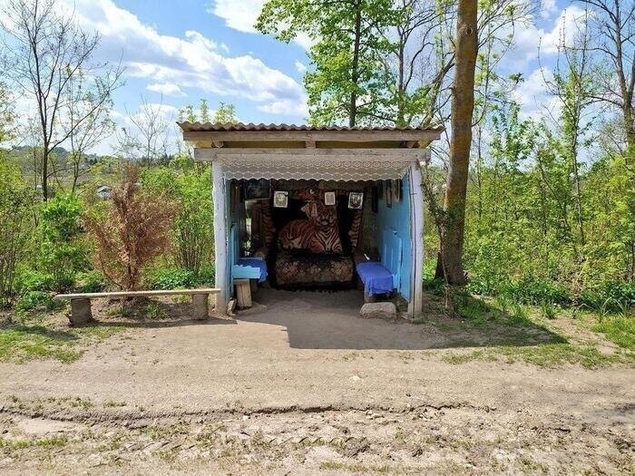 Шикарно жить не запретишь Шикарно жить не запретишь
(19 фото)