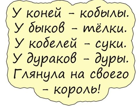 Как я выбрала мужа? Крикнула: умные налево, красивые направо. Один замешкался... вот тут - то я его и поймала.