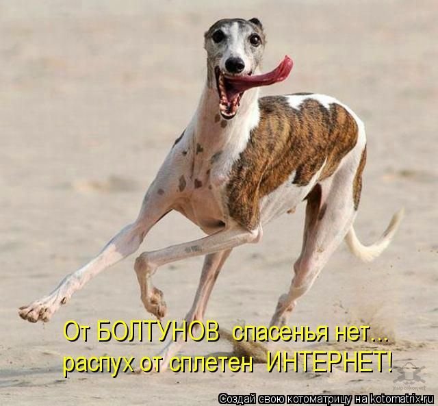 Котоматрицы Котоматрицы