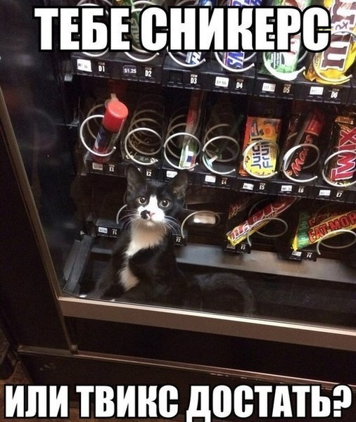 Давайте улыбаться вместе!