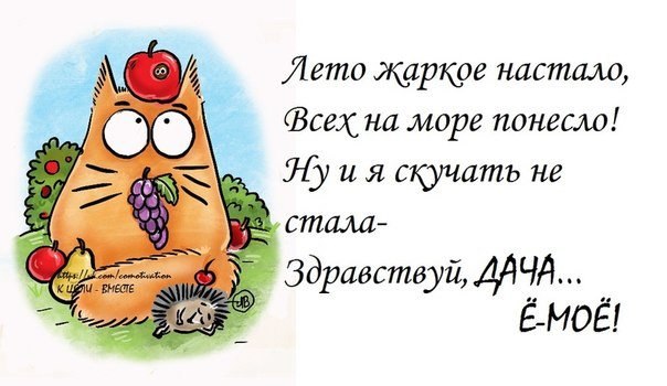 Прикольные фразочки в картинках