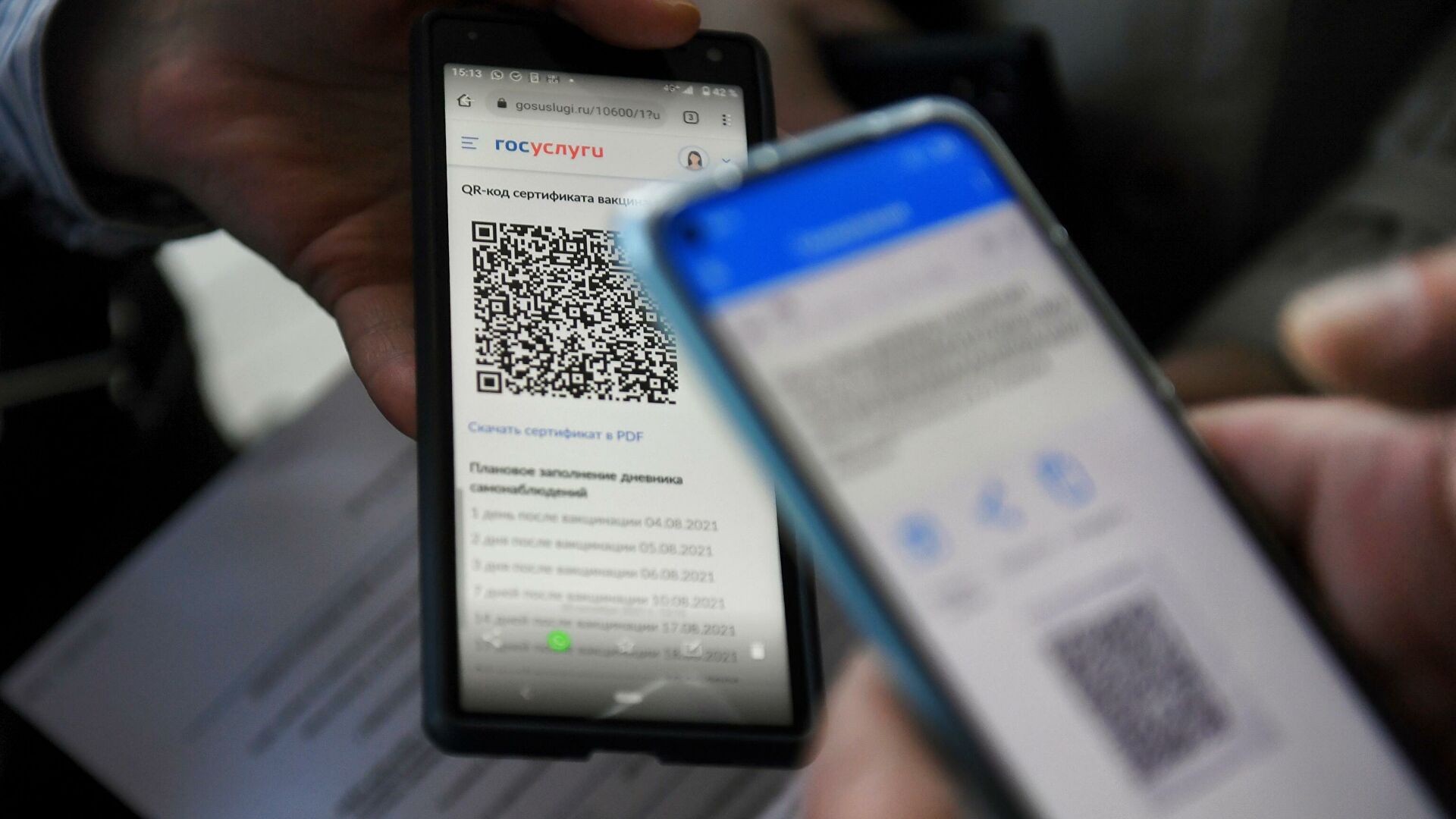 Посетитель предъявляет QR-код для проверки Посетитель предъявляет QR-код для проверки - РИА Новости, 1920, 11.11.2021