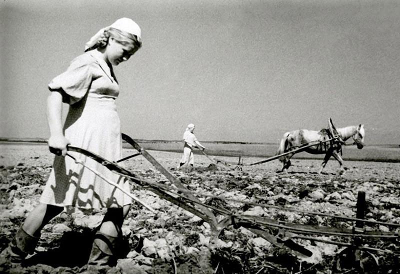 womenonwar12