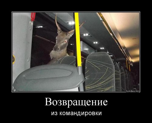 Демотиваторы-приколы (15 шт) Демотиваторы-приколы (15 шт)