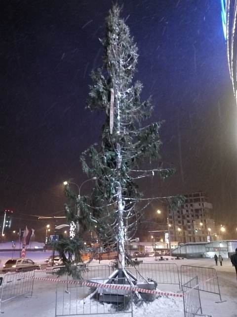 Фото: жителей Нижнего Новгорода шокировала новогодняя елка на площади