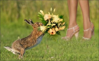 Классификация мужчин