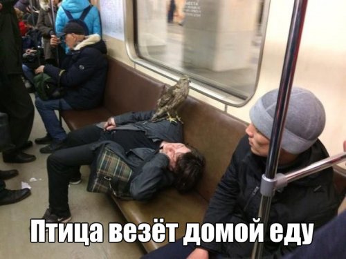 Прикольные картинки среды (39 шт) Прикольные картинки среды (39 шт)