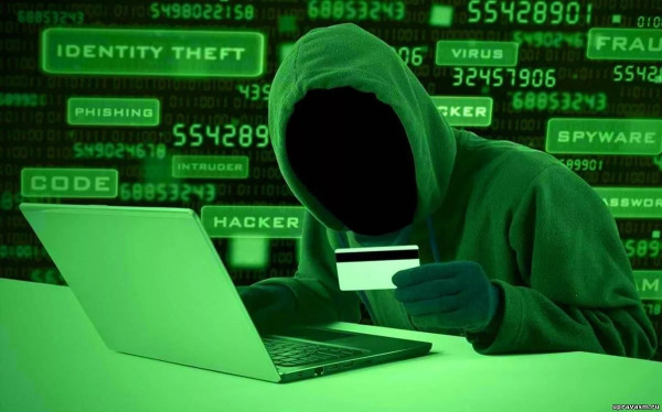 В России участились случаи интернет-мошенничества