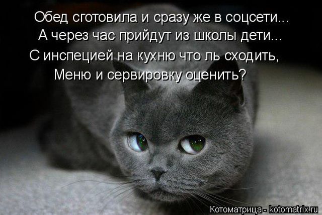 Котоматрицы великолепные, каждая с кусочком тепла, позитива и улыбкой!!! Всем добрых событий сегодня!!! Котоматрицы великолепные, каждая с кусочком тепла, позитива и улыбкой!!! Всем добрых событий сегодня!!!