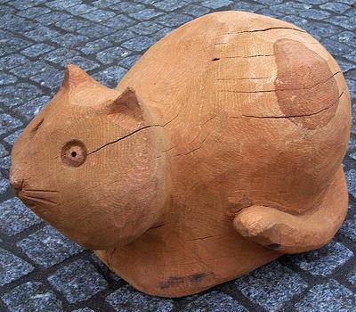 ���������� ���, �����������, ����������, ��������.