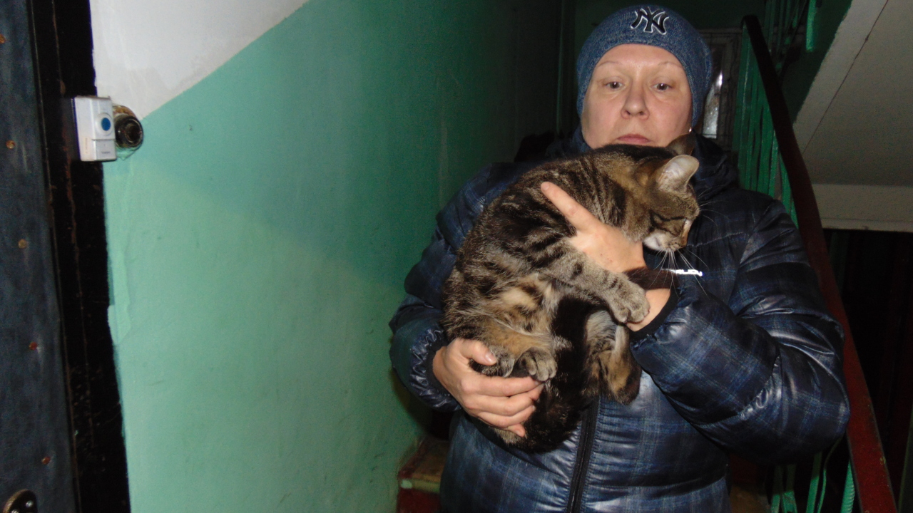 Маленький котик срочно ищет любящий дом. Маленький котик срочно ищет любящий дом.