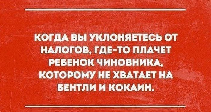 21+ убойных фраз, которые дарят позитив на весь день