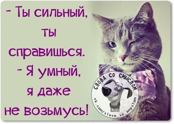 Позитивные фразочки в картинках