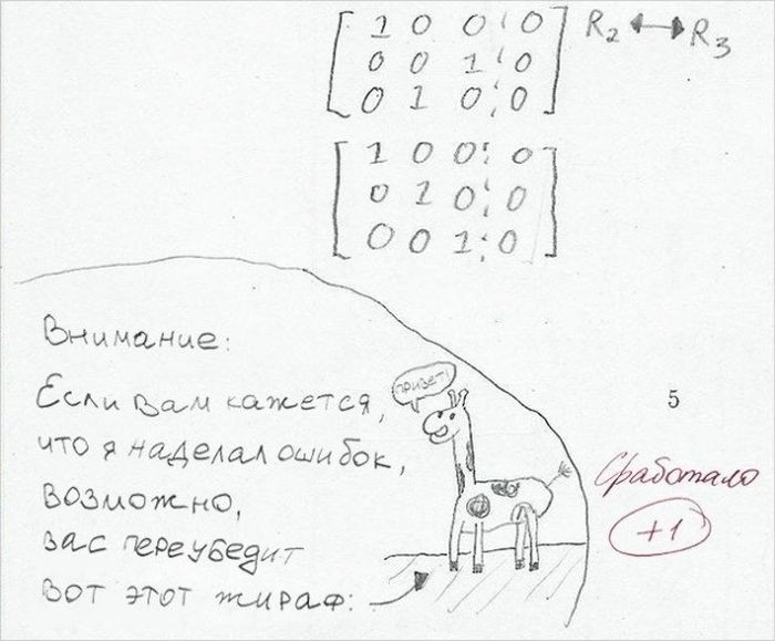Креативные ответы на задания от студентов и школьников прикол, юмор