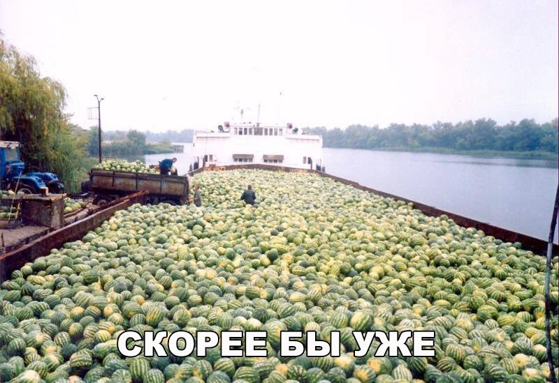 Веселые картинки с надписями до слез и веселья (11 фото) Веселые картинки с надписями до слез и веселья (11 фото)