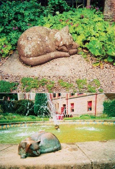 9 ����� ���� �������, �������� ��������, �������, ��������.