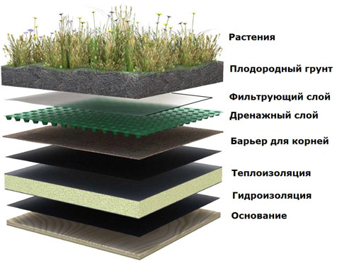 image4-post3.jpg; 500 x 372 (@90%)