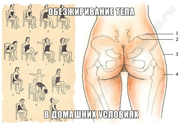 Сушка тела для женщин в домашних условиях меню
