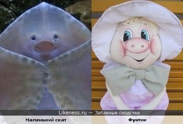 сходства, люди