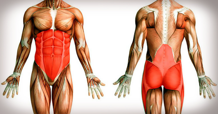 как сделать талию тоньше