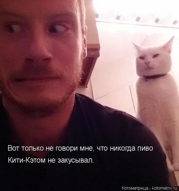 Котоматрицы великолепные, каждая с кусочком тепла, позитива и улыбкой!!! Всем добрых событий сегодня!!! Котоматрицы великолепные, каждая с кусочком тепла, позитива и улыбкой!!! Всем добрых событий сегодня!!!