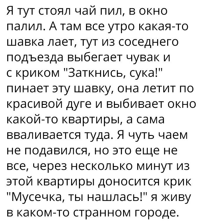Веселые картинки с надписями до слез (11 фото) Веселые картинки с надписями до слез (11 фото)