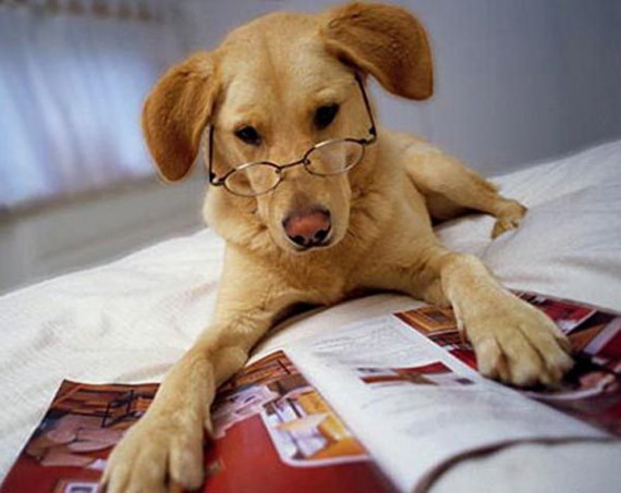 Давайте улыбаться вместе! :)