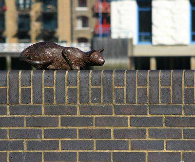 �����, ��������, �����.