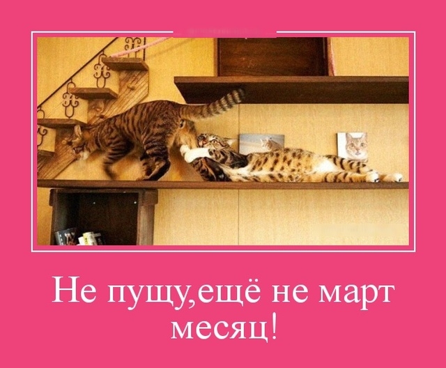 Демотиваторы Демотиваторы
